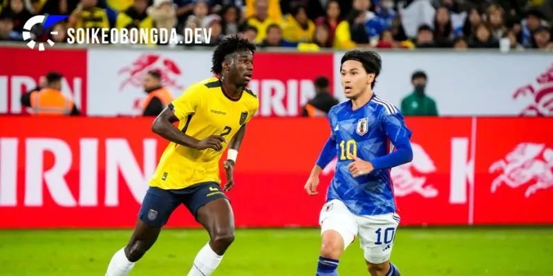 Soi Kèo Nhật Bản vs Ecuador 17h10 01/10 Bán kết Cúp Kirin 2 Đôi nét về phong độ thực tại của Nhật Bản vs Ecuador